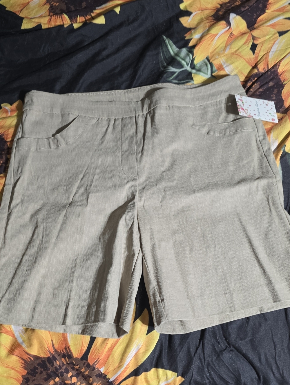 Women's Stretch Waist Beige Shorts